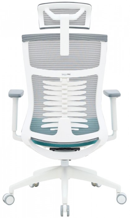 OfficePro Balance OC550