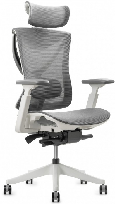 ADAPWORK S1 Mesh Senior ErgoChair