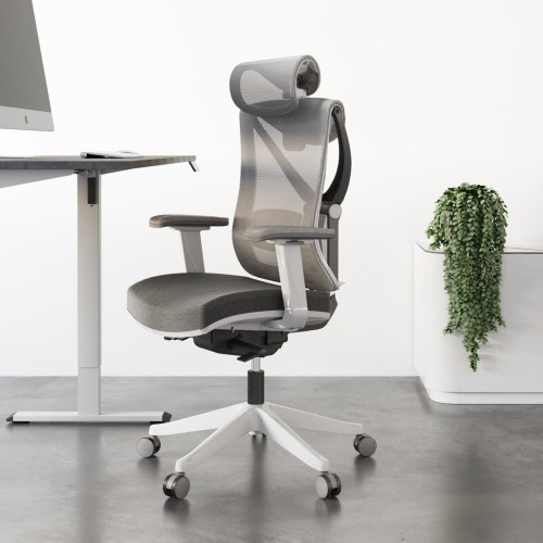 ADAPWORK S2 Mesh Senior ErgoChair