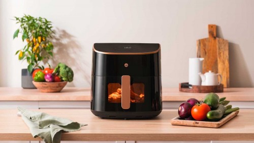 Wilfa Dualfry split