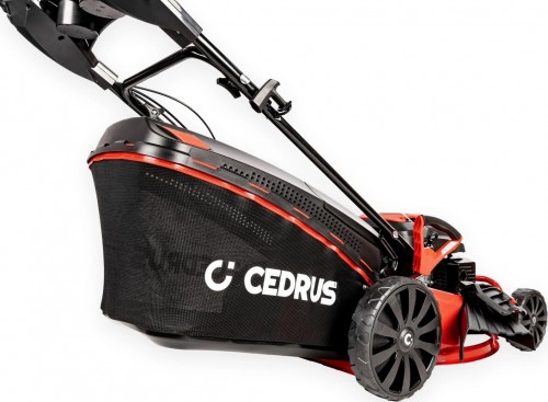 Cedrus KS48S