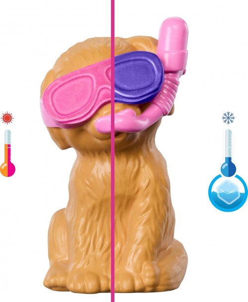 Barbie Puppy Pool Party JBF35