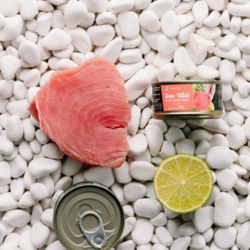 Savory Adult Cat Tuna/Mackerel in Jelly 70 g