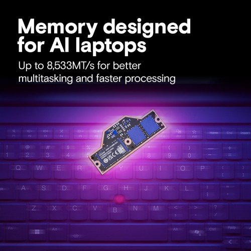 Crucial LPCAMM2 LPDDR5X 1x64Gb