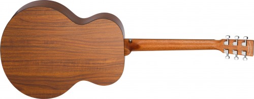 Tanglewood TM3
