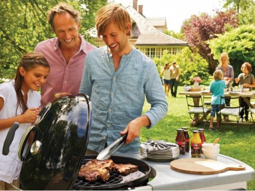 Weber Perfomer Deluxe GBS 1481998