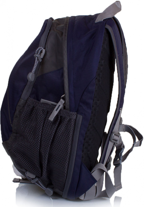 One Polar 1391