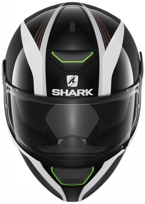 SHARK Skwal Spinax