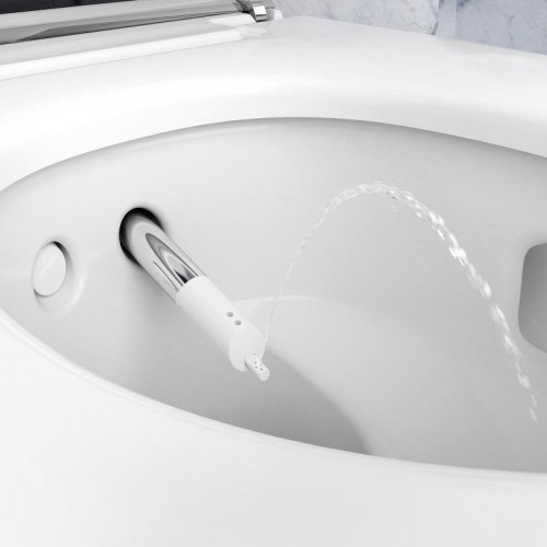 Geberit AquaClean Mera Classic 146204211