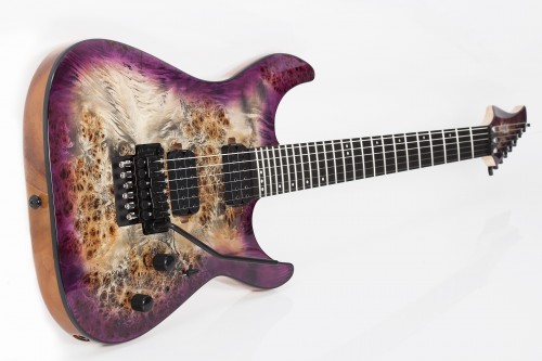 Schecter C-6 Pro FR