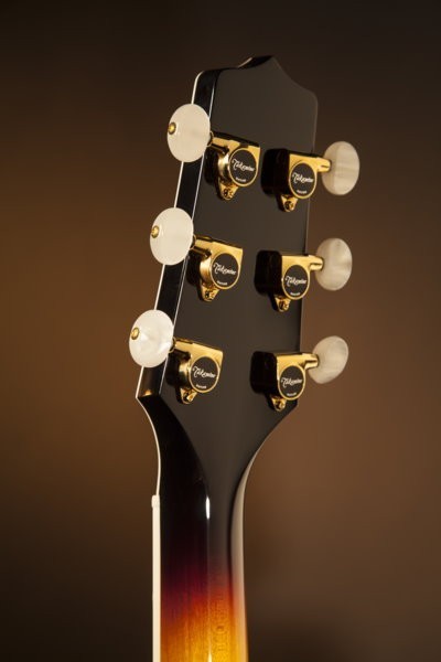 Takamine P6NC