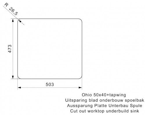 Reginox Ohio 50x40 TapWing R15698