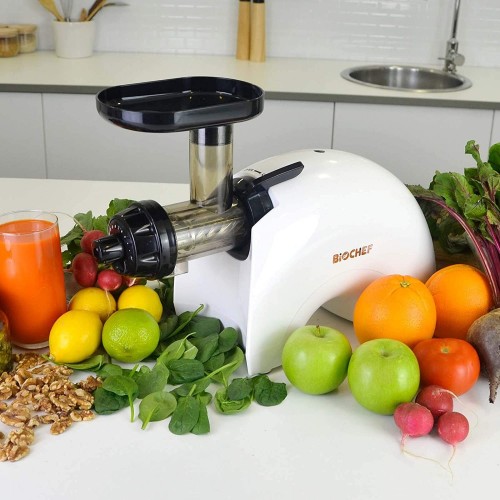 BioChef Gemini Twin Gear Cold Press