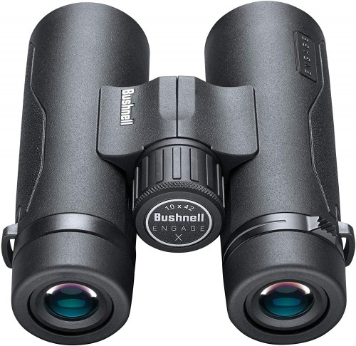 Bushnell Engage X 10x42