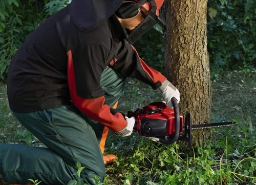 Einhell Classic GC-PC 2040 I