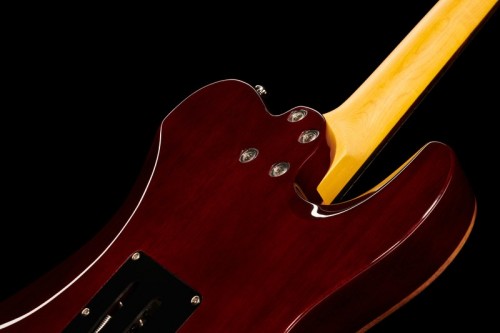 Harley Benton Fusion-T HH LH EB