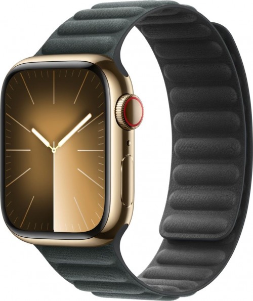 Apple Watch 9 Steel