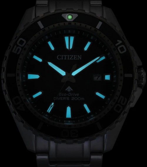 Citizen Promaster Diver BN0199-53X
