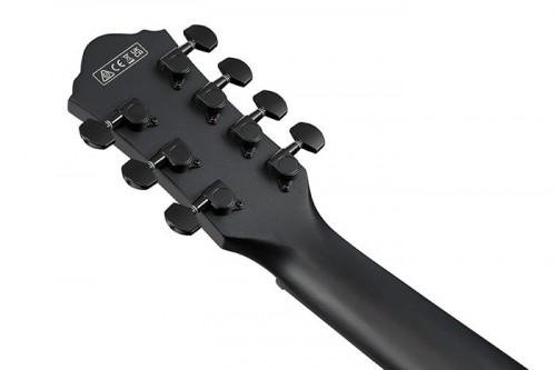Ibanez AEG721