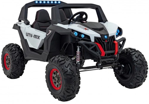 Ramiz Buggy UTV-MX 2000N