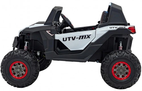 Ramiz Buggy UTV-MX 2000N