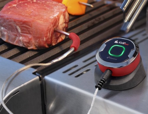Weber iGrill mini