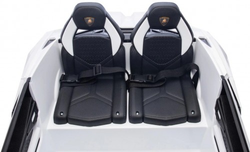 Ramiz Lamborghini Revuelto XL