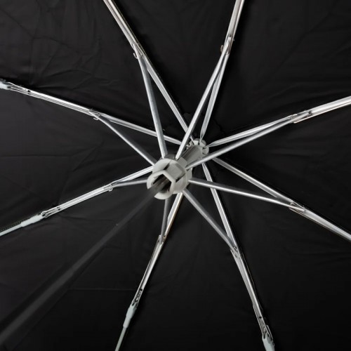 Fulton National Gallery Minilite-2 UV Sunflowers