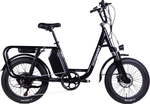 Dorozhnik eAdamant DD FR 750W 2025