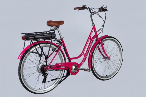 Dorozhnik eRetro Vbr FR 500W 2025