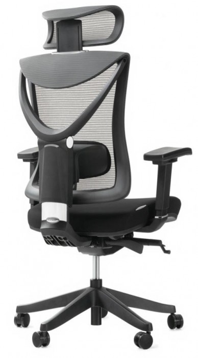 ADAPWORK S1 Senior ErgoChair