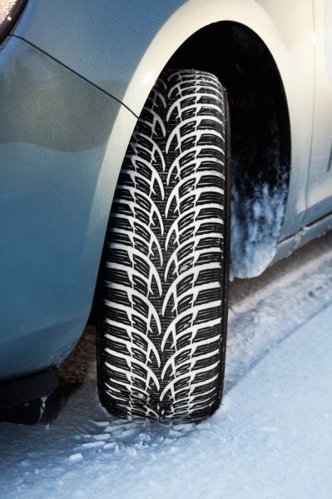 Nokian WR D3