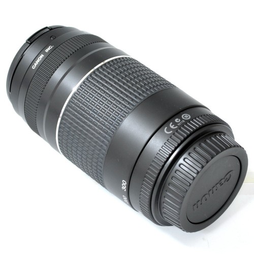 Canon EF 75-300mm f/4.0-5.6 III