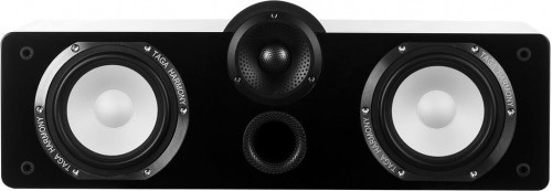 TAGA Harmony Platinum C-90SL