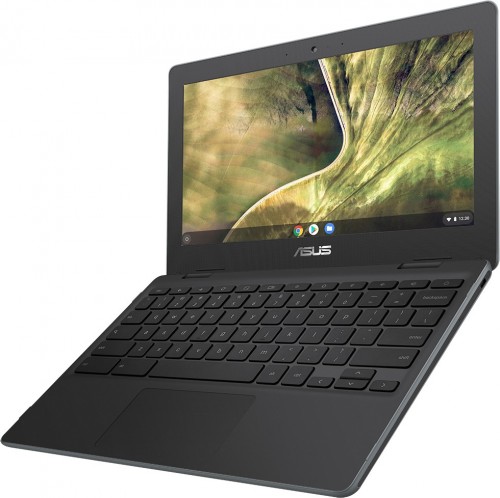 Asus Chromebook C204MA