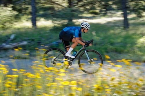 Giant Gavia Fondo 1