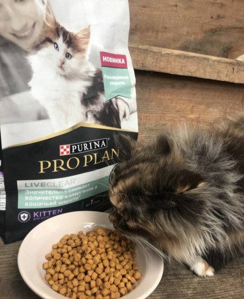 Pro Plan Kitten LiveClear Turkey 1.4 kg