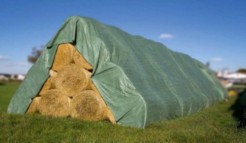 Bradas Tent 6x12m 60g