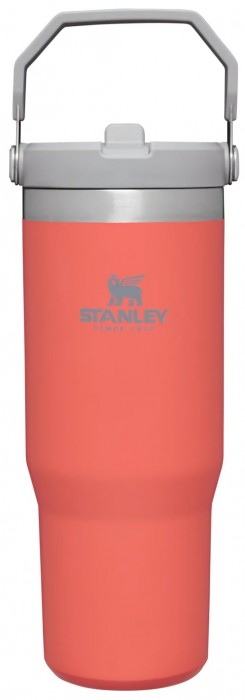 Stanley IceFlow Flip 0.89