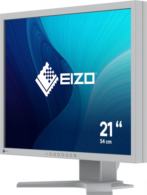 Eizo FlexScan S2134