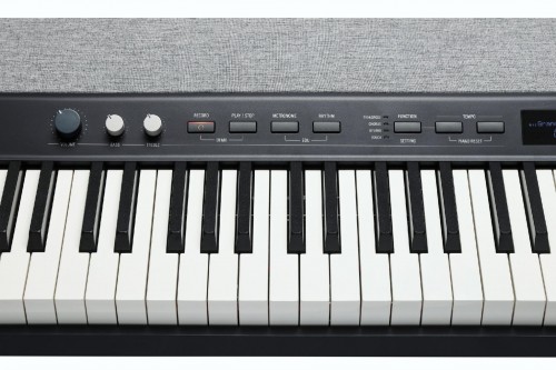 Kurzweil KA-P1