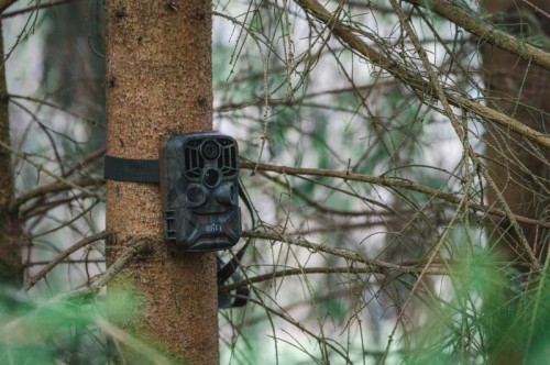 Braun Scouting Cam 800