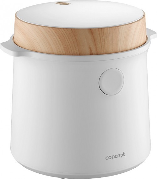 Concept RE3030