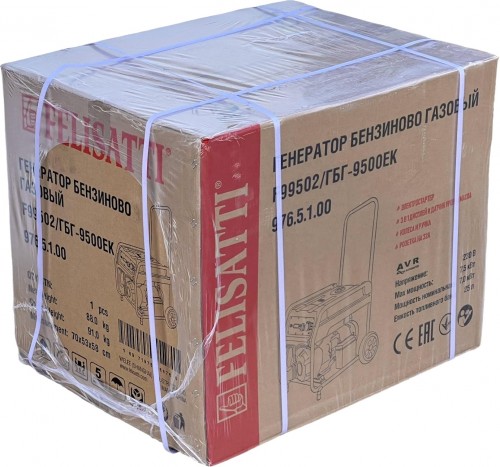 FELISATTI GBG-9500EK F99502