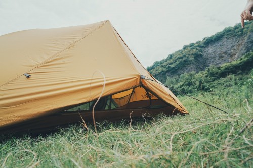 Fire-Maple Tropics 2