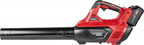 Cedrus B42LIX2