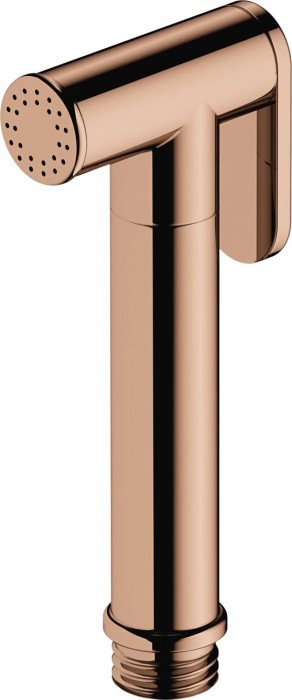 Omnires BIDETTA2-RCR