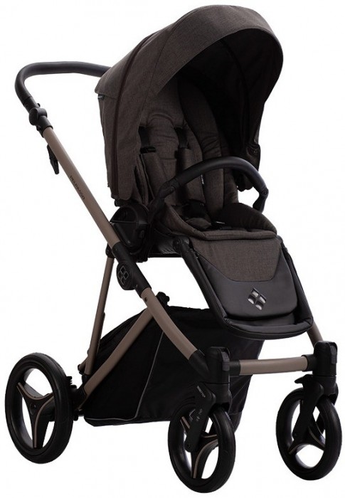 Bebetto Pelpasso 2 in 1