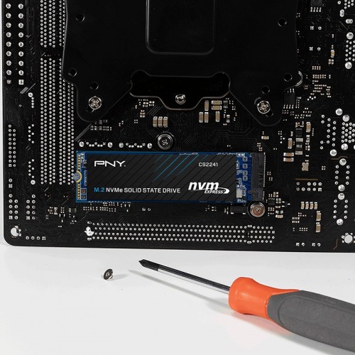 PNY CS2241