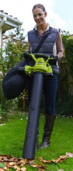 Ryobi RBV3000CSV